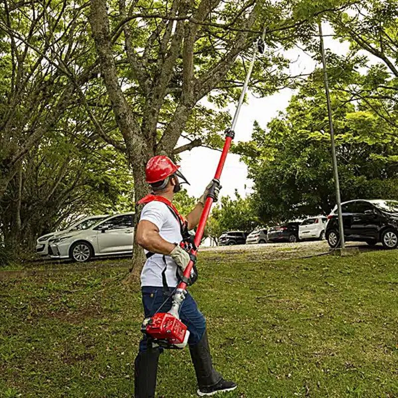 Locação de moto poda para galhos